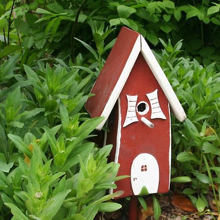 Wohnung-Schwalbennest Süderende Kültér fotó